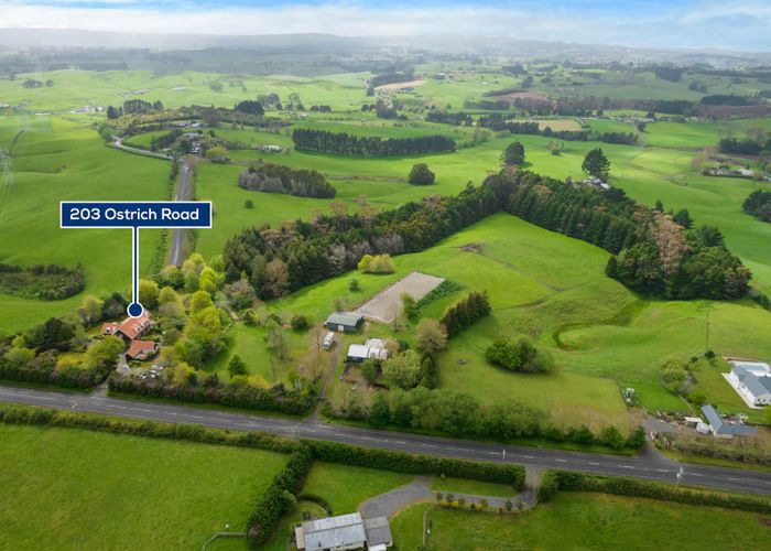  at 203 Ostrich Road, Patumahoe, Pukekohe