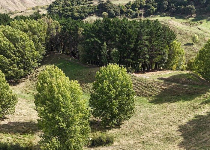  at 169 Campbell Road, Brunswick, Whanganui, Manawatu / Whanganui