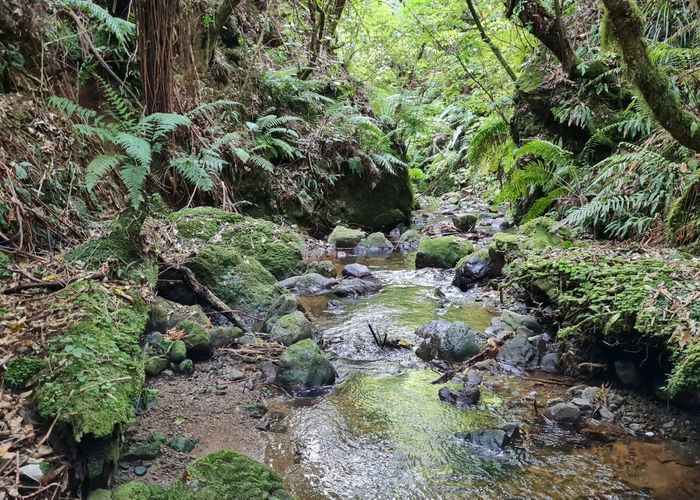  at 141 Kaitawa Road, Otaki, Kapiti Coast, Wellington