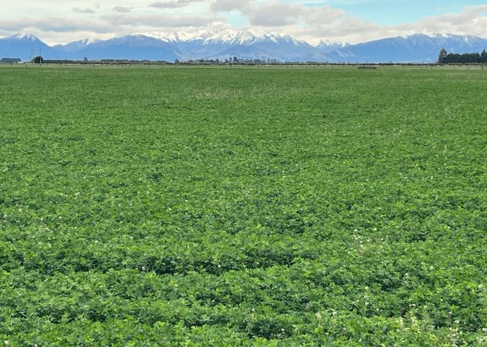  at 102 Coplands Road, Ashburton, Ashburton, Canterbury