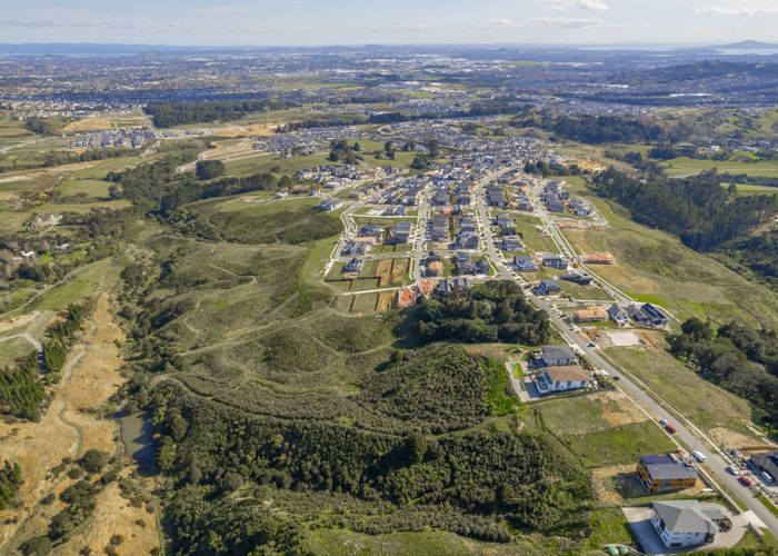 at 32 Michael Bosher Way, Flat Bush, Auckland