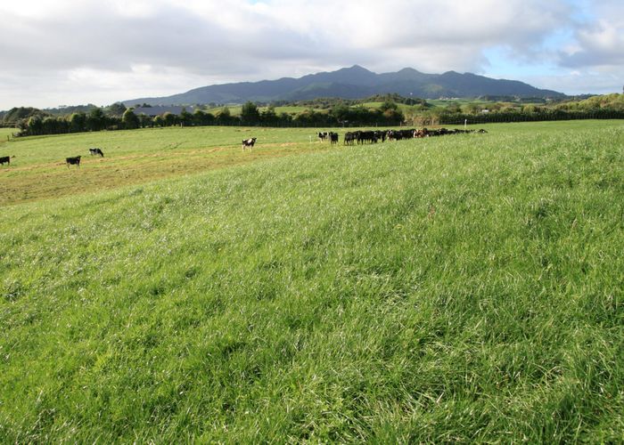  at 192-194 Dover Road, Okato, New Plymouth, Taranaki