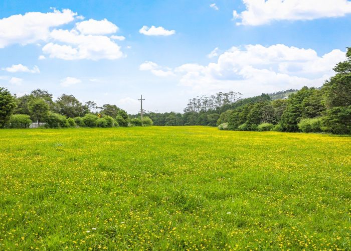  at 723 Whangaripo Valley Road, Whangaripo, Rodney, Auckland