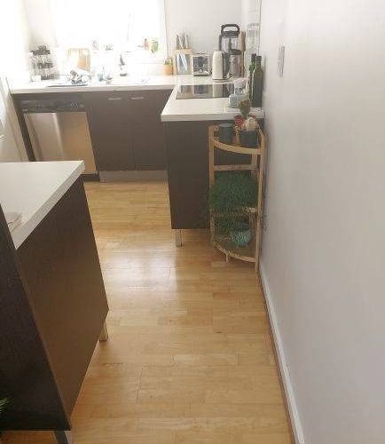  at 2 Western Springs Road, Kingsland, Auckland City, Auckland