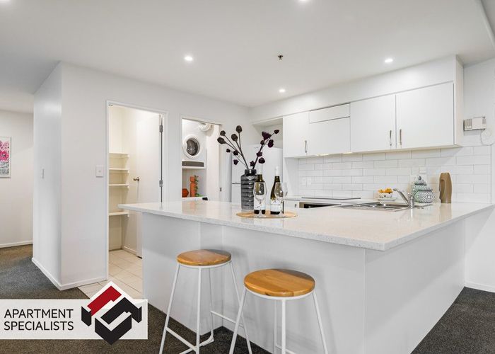  at 205 Hobson Street, City Centre, Auckland City, Auckland