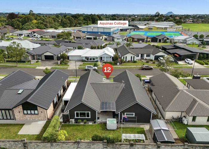  at 12 St Thomas Avenue, Pyes Pa, Tauranga, Bay Of Plenty
