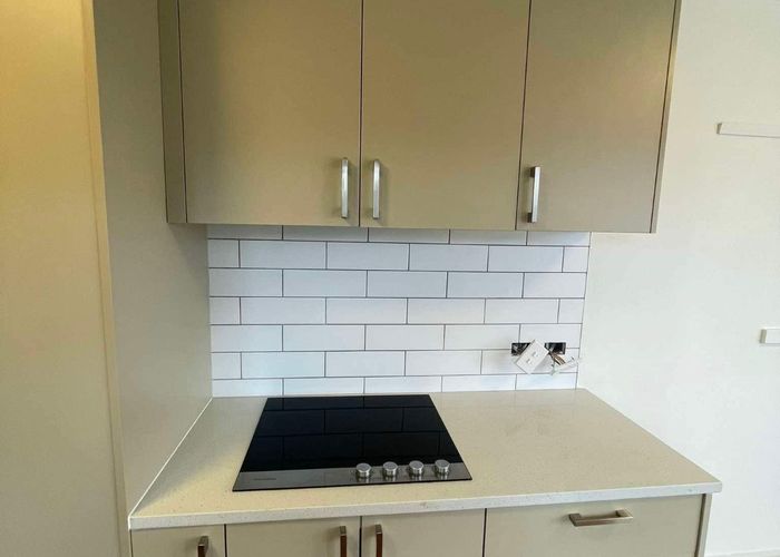  at 25 Hobson Drive, Panmure, Auckland