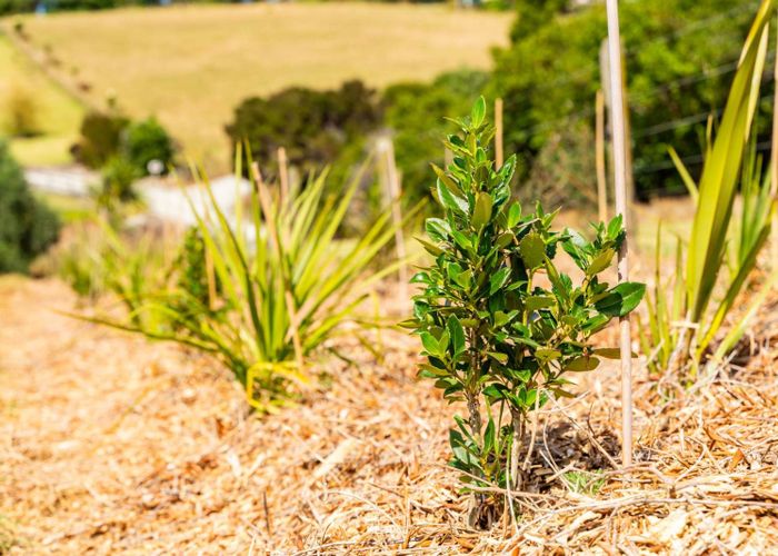  at 167 Barrier View Road, Mangawhai, Kaipara, Northland