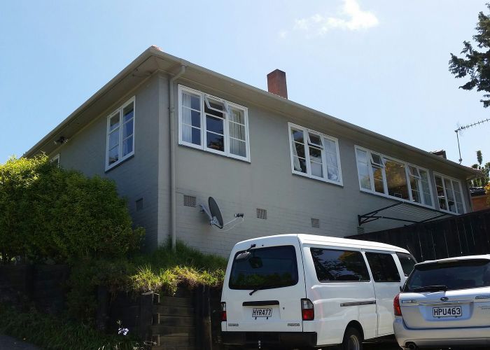  at 41 Konini Road, Greenlane, Auckland City, Auckland