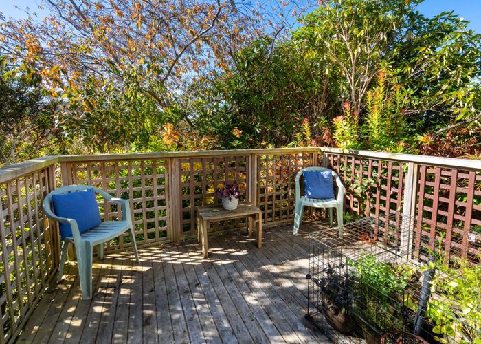  at 59 Braeview Crescent, Maori Hill, Dunedin, Otago