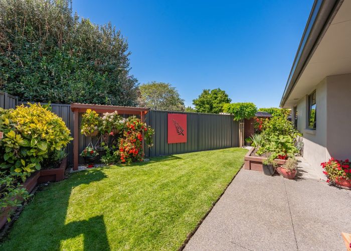  at 5/31 Te Aute Road, Havelock North, Hastings, Hawke's Bay