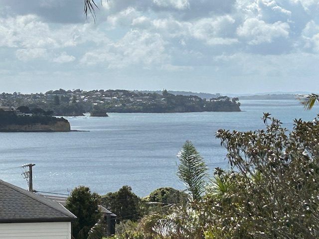 at 17 Rothesay Bay Road, Rothesay Bay, North Shore City, Auckland