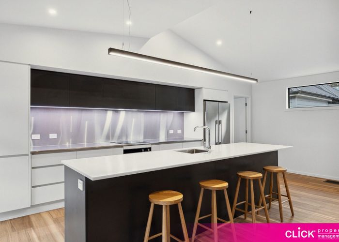  at 19 Northumberland Street, North East Valley, Dunedin, Otago