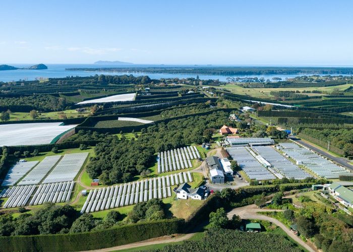  at 107 Ongare Point Road, Katikati, Western Bay Of Plenty, Bay Of Plenty