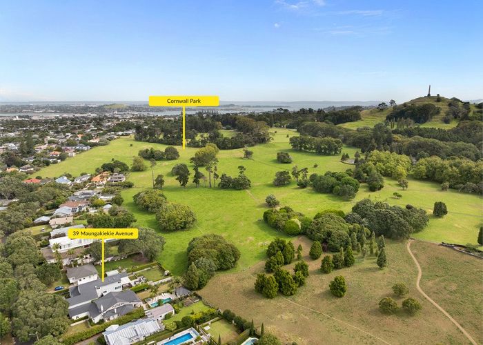  at 39 Maungakiekie Avenue, Greenlane, Auckland City, Auckland