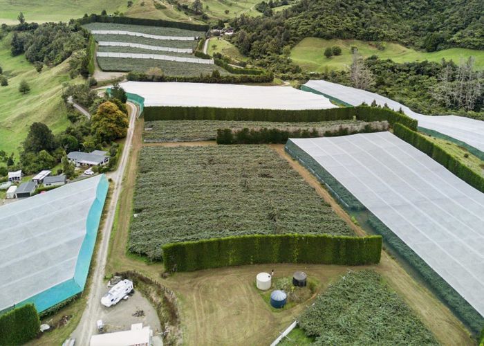  at 36B Demeter Road, Te Puke, Western Bay Of Plenty, Bay Of Plenty