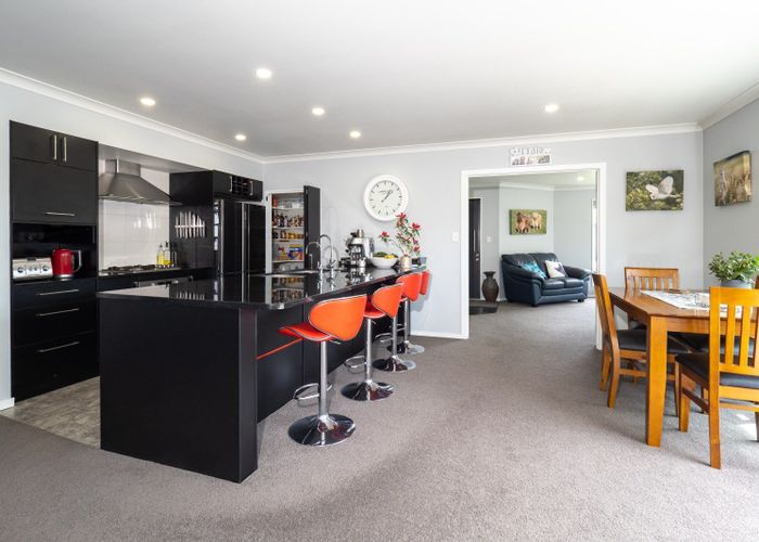  at 16 Geoff Geering Drive, Netherby, Ashburton