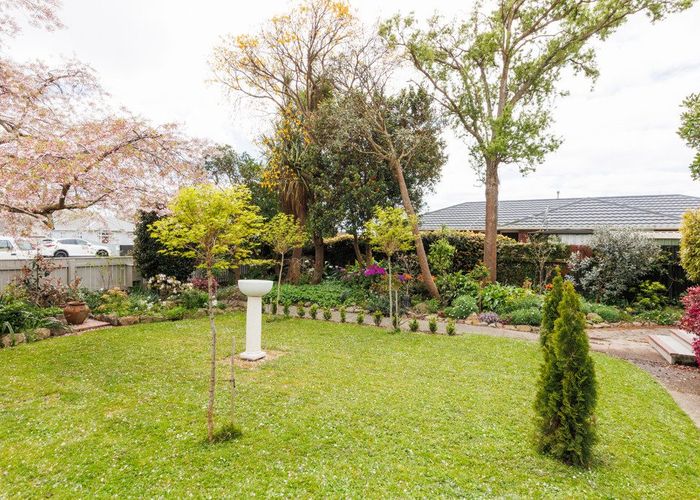  at 44 Church Street, Awapuni, Palmerston North