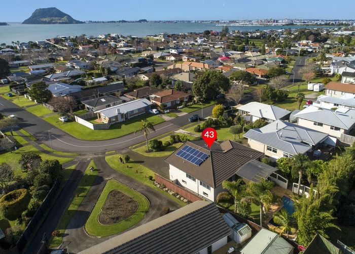  at 43 Freyberg Street, Otumoetai, Tauranga, Bay Of Plenty