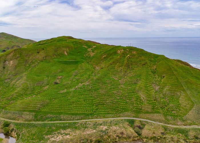  at 25 Punawaitai Road, Pourerere, Central Hawke's Bay, Hawke's Bay