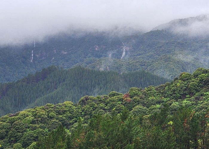  at 1830 Colville Road, Coromandel, Thames-Coromandel, Waikato