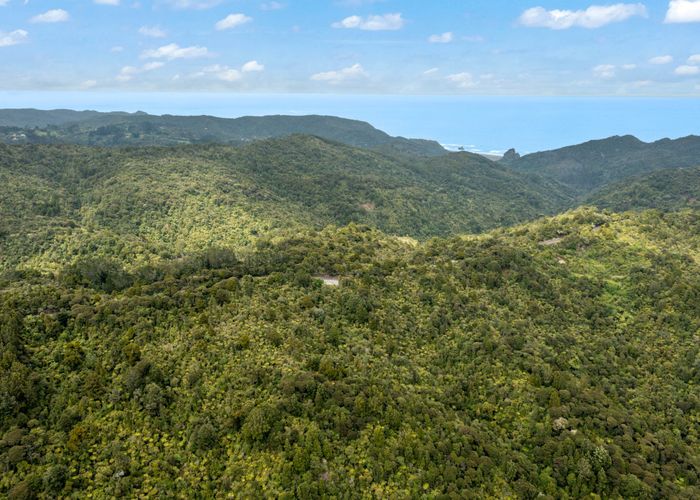  at 233-237 Piha Road, Piha, Waitakere City, Auckland