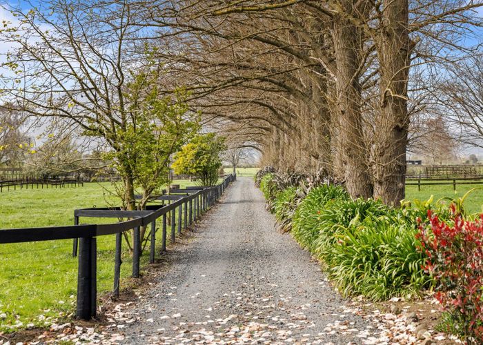  at 88 Seddon Road, Te Aroha