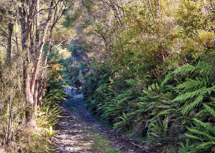  at Putara Road, Eketahuna, Tararua, Manawatu / Whanganui