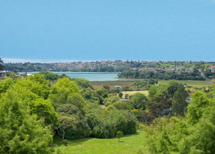  at 3C Laxon Terrace, Remuera, Auckland City, Auckland