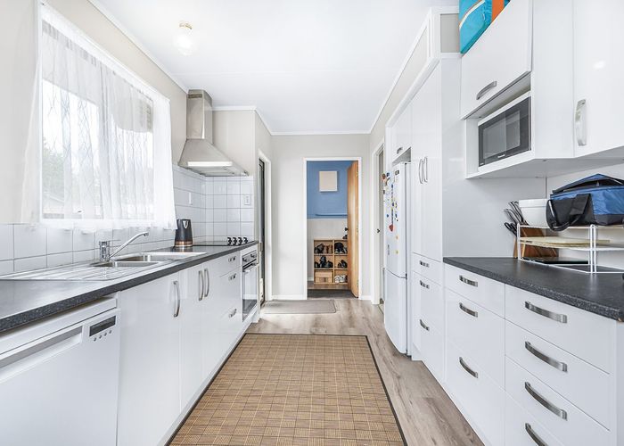  at 47 Hibiscus Avenue, Hamilton Lake, Hamilton