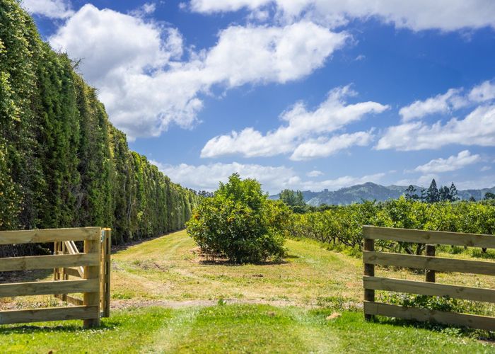  at Kiwi Street, Makaraka , Gisborne, Gisborne