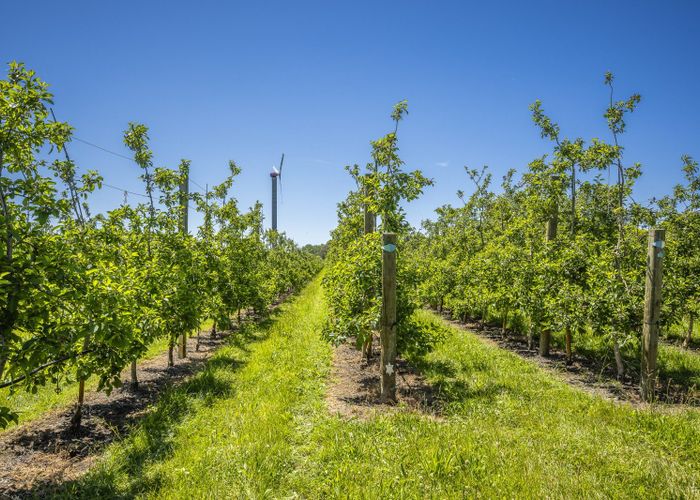  at Rakete Orchards LP, Hastings Central, Hastings, Hawke's Bay