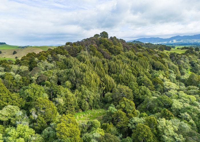  at 137 Kiritaki Road, Dannevirke