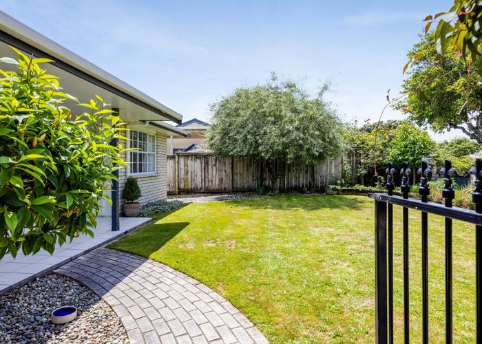  at 11 Elder Grove, Whalers Gate, New Plymouth