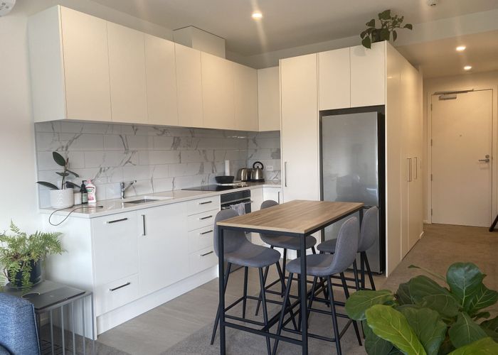  at 105/1B Oakley Avenue, Waterview, Auckland City, Auckland