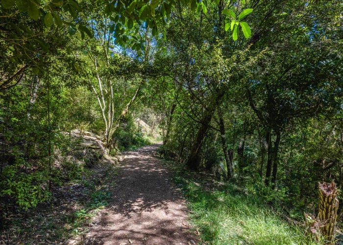  at 23 Te Aroha Ave, Oneroa, Waiheke Island, Auckland