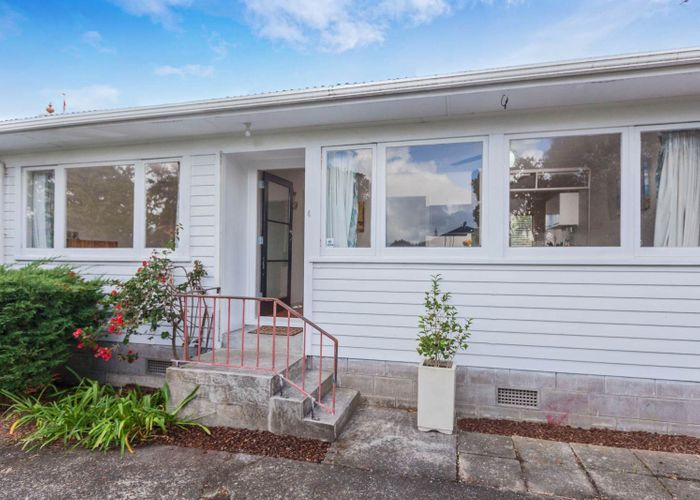  at 4/20 Patterson Street, Sandringham, Auckland City, Auckland