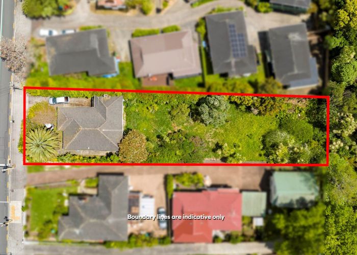  at 2145 Great North Road, Avondale, Auckland