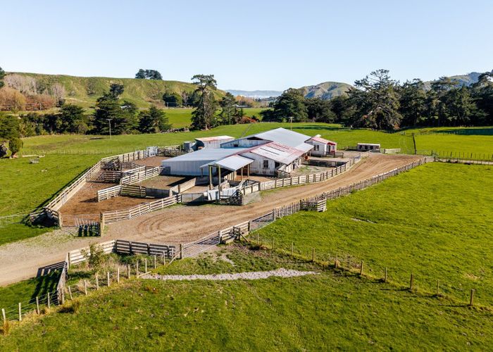  at 99 Surreydale Road, Pahiatua, Tararua, Manawatu / Whanganui