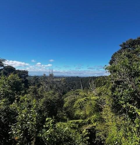  at 50 Kitewaho Road, Swanson, Waitakere City, Auckland