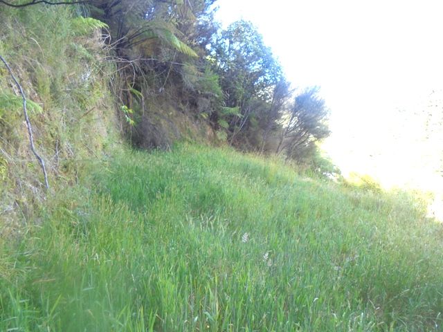  at 14B Kereru Grove, Stokes Valley, Lower Hutt