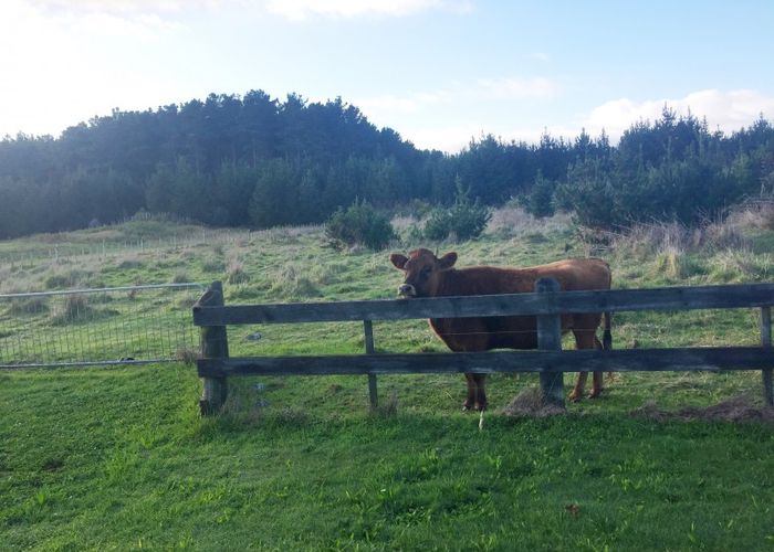  at 26 Kanuka Drive, Waitarere, Levin