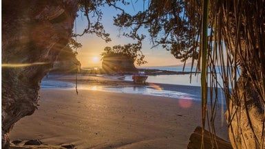  at 950A Beach Road, Torbay, Auckland
