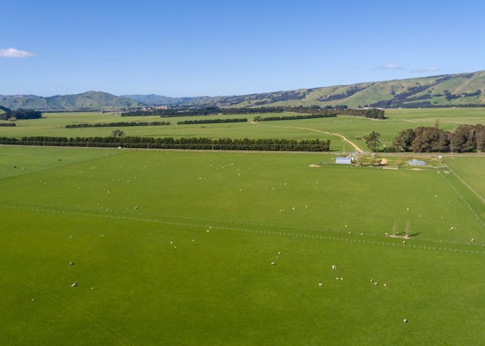  at White Rock Road, Martinborough, South Wairarapa, Wellington