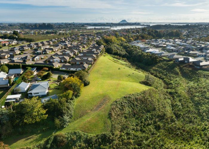  at Lot 1 - 4 Joblin Way, Ohauiti, Tauranga, Bay Of Plenty