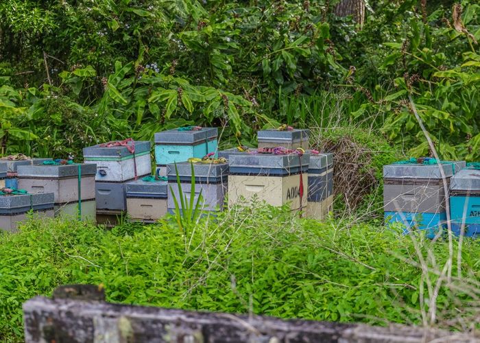  at Lot 3, 10 Kraack Road, Warkworth, Rodney, Auckland