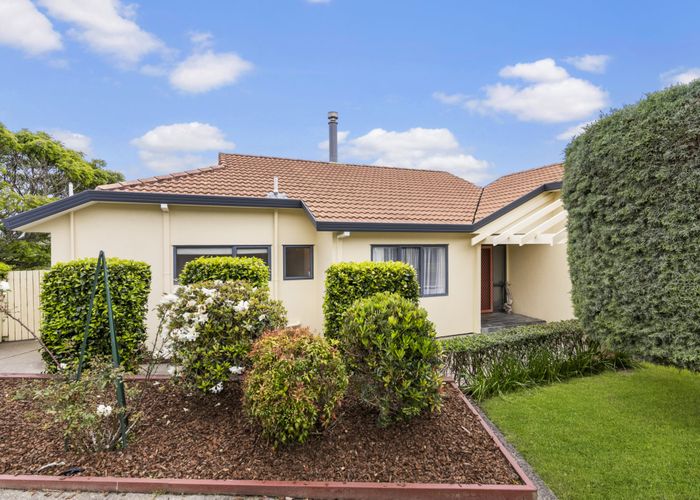 at 17 Charlotte Street, Stanmore Bay, Whangaparaoa