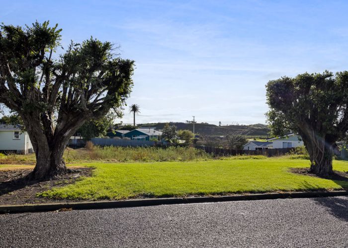  at 14 Belford Street, Waverley, Dunedin