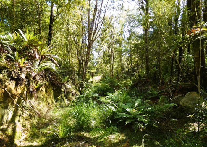  at 998 Fairdown Road, Westport, Buller, West Coast