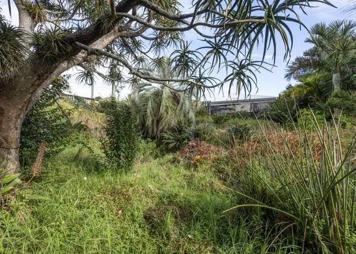  at 20 Edenvale Crescent, Mount Eden, Auckland